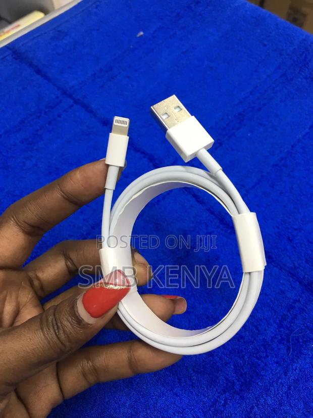 Lightning To Usb A iPhone Cable - main view