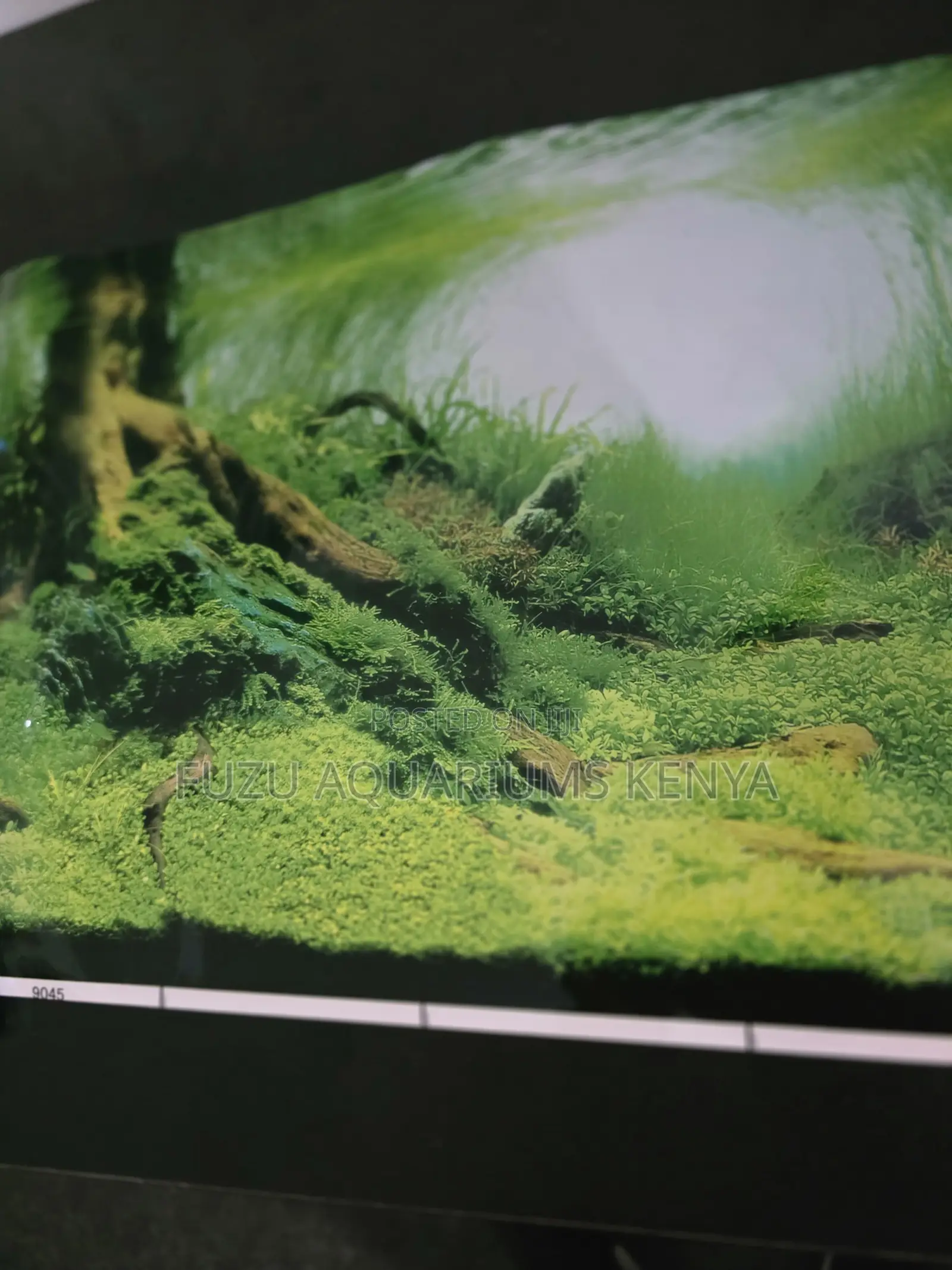 High-Quality Aquarium Backgrounds - Instant Tank Makeover