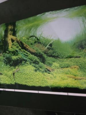 High-Quality Aquarium Backgrounds - Instant Tank Makeover - thumbnail 2