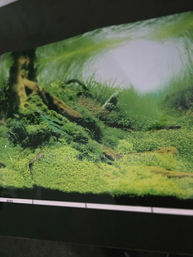 High-Quality Aquarium Backgrounds - Instant Tank Makeover