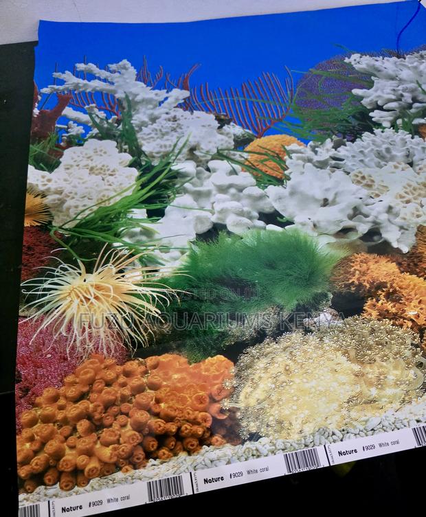 Stunning Amazon River Rock Design Backgrounds - main view