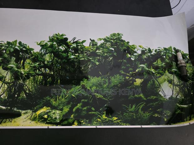Double-Sided Aquarium Background (2 Designs in 1) - main view