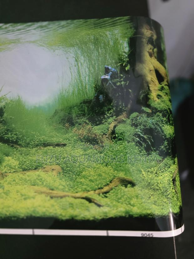 Vibrant Hd Aquarium Backdrop - Enhances Fish Colors - main view