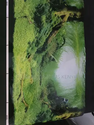 Forest Theme Fish Tank Background - Cut to Measure