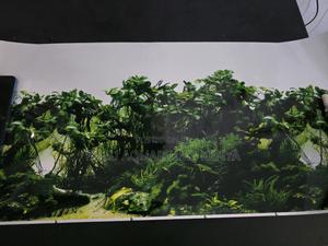 Panoramic Aquarium Scenery - Sold Per Foot - thumbnail 2