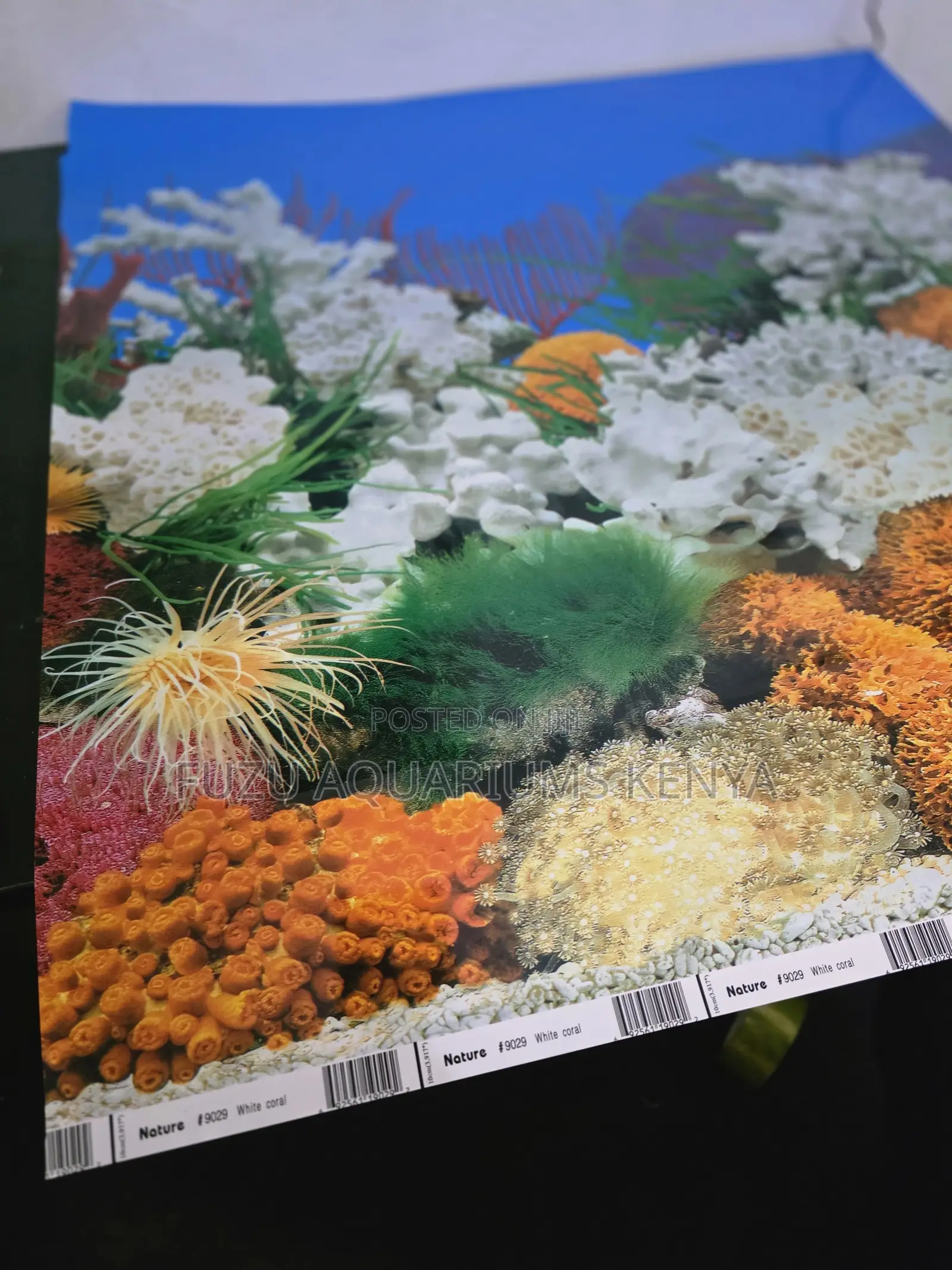 Blackout Aquarium Background for Professional Look