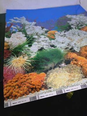 Blackout Aquarium Background for Professional Look - thumbnail 2