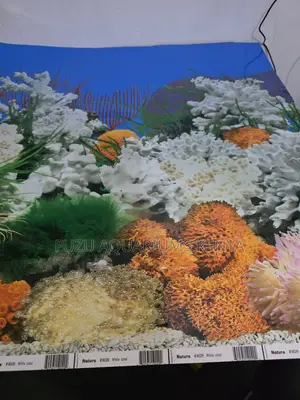 Easy-to-Install Fish Tank Backdrops (Diy Friendly)