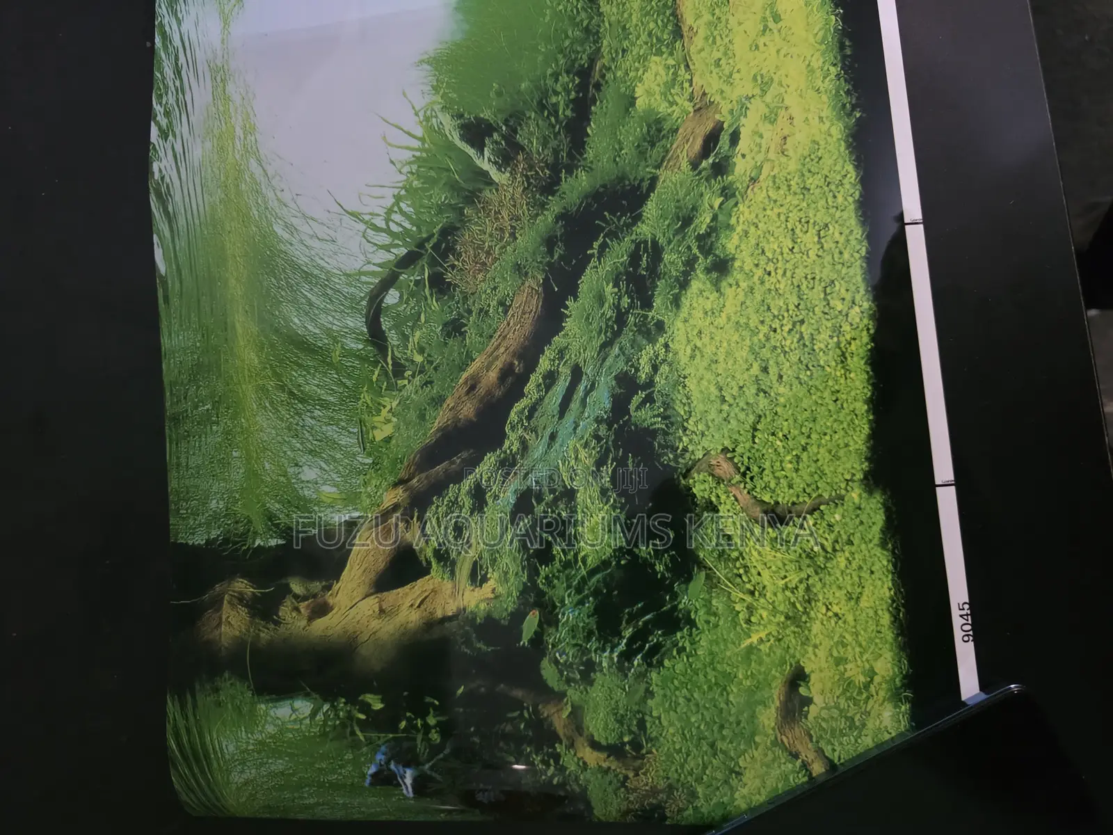 Protective Aquarium Back Sheet - Reduces Algae