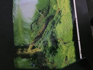 Protective Aquarium Back Sheet - Reduces Algae - thumbnail 2