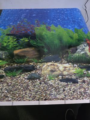 Custom Length Aquarium Backgrounds (Any Size) - thumbnail 2