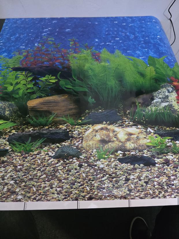 Custom Length Aquarium Backgrounds (Any Size) - main view