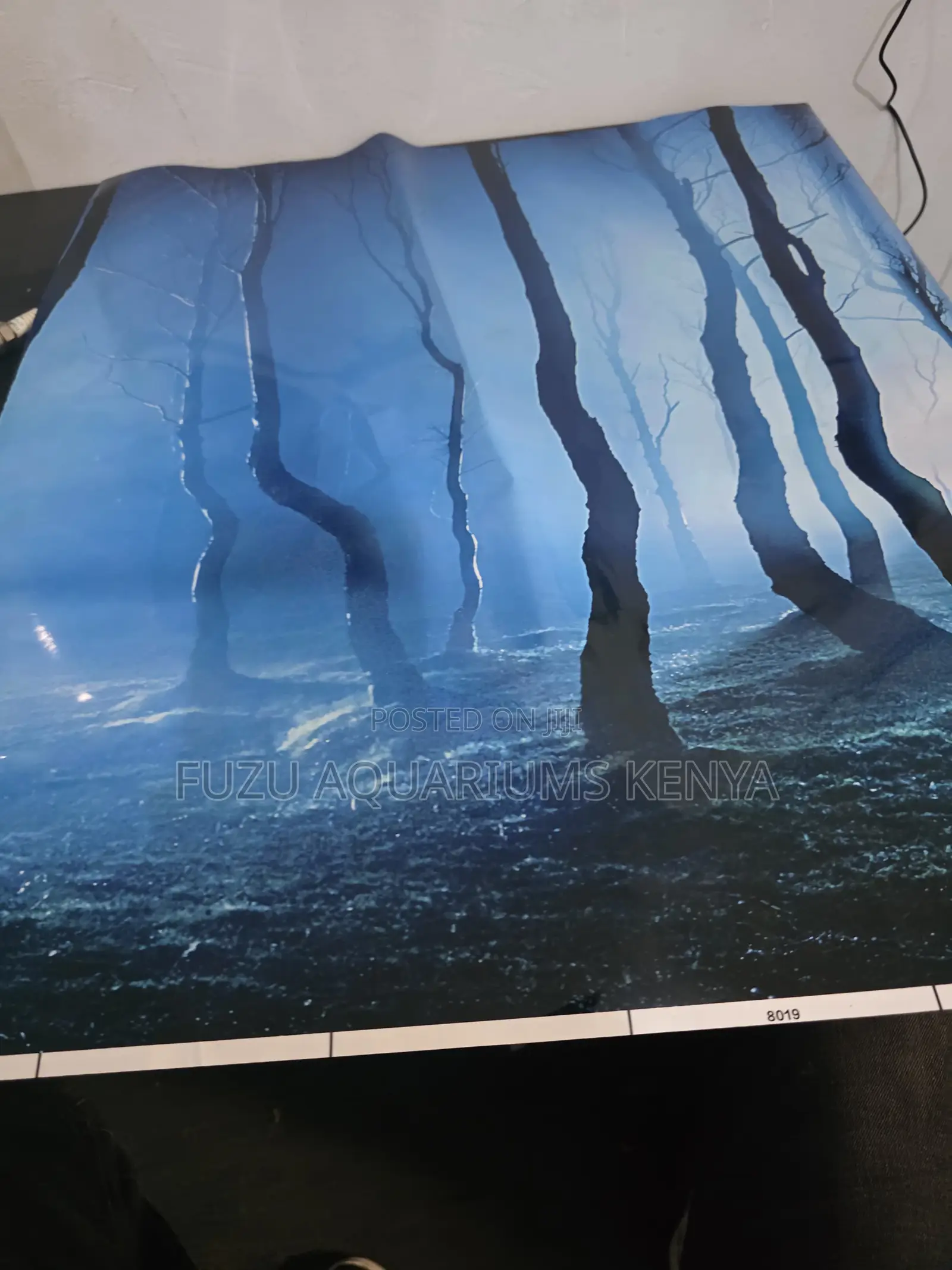The Best Upgrade for Your Aquarium Under 1000sh