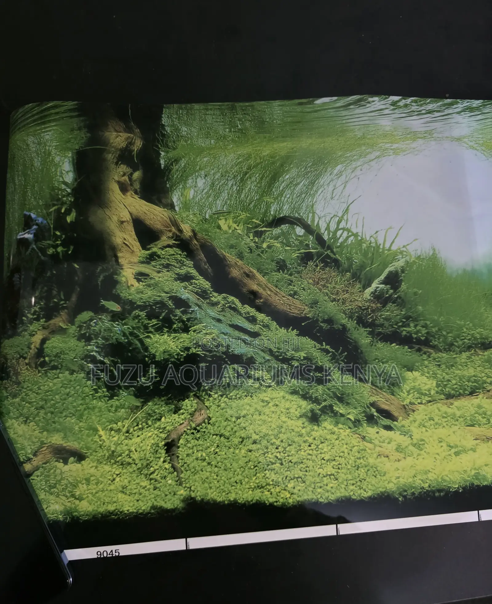 Natural Wood Root Aquarium Scenery