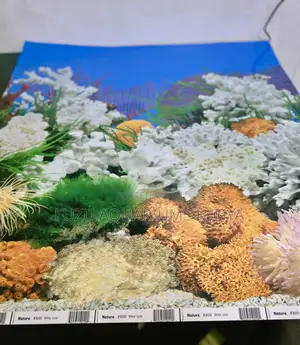 Zen Garden Style Aquarium Background