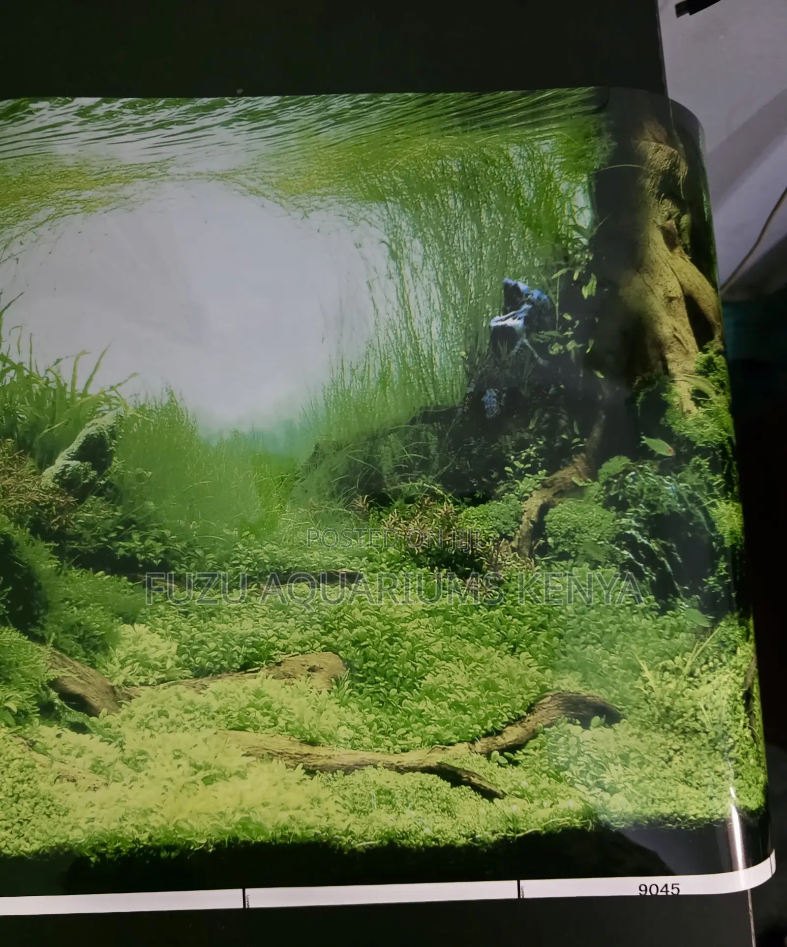Detailed Seascape Aquarium Wallpaper (High Res)