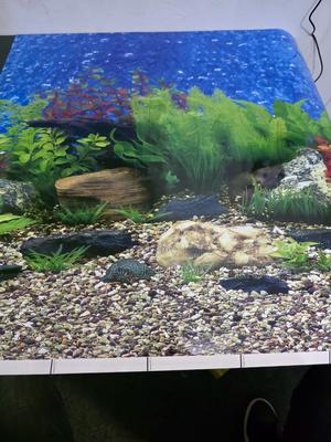 Mixed Variety Aquarium Background Rolls - thumbnail 2