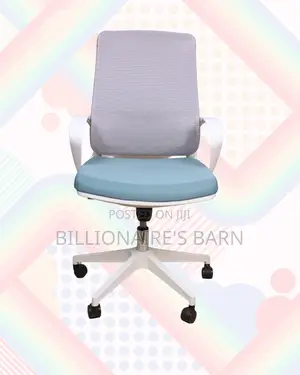 Ergonomic Mesh Backrest | Ergonomic | Delivery Anywhere in Kenya