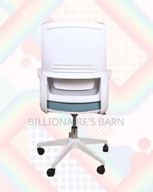 Ergonomic Mesh Backrest | Ergonomic | Delivery Anywhere in Kenya