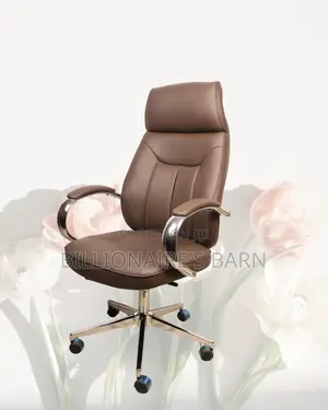 Home Office (Imported) Leather Chair Fast | Order Yours Today
