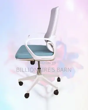 Stylish Mesh Ergonomic Chair Work White Great | Order Yours Today