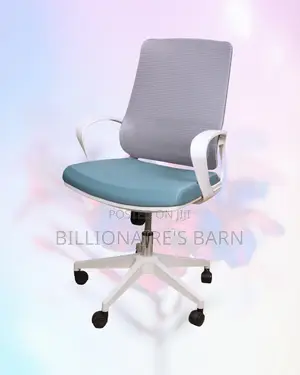 Stylish Mesh Ergonomic Chair Work White Great | Order Yours Today
