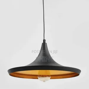 Flat Hat Black Gold Pendant Light