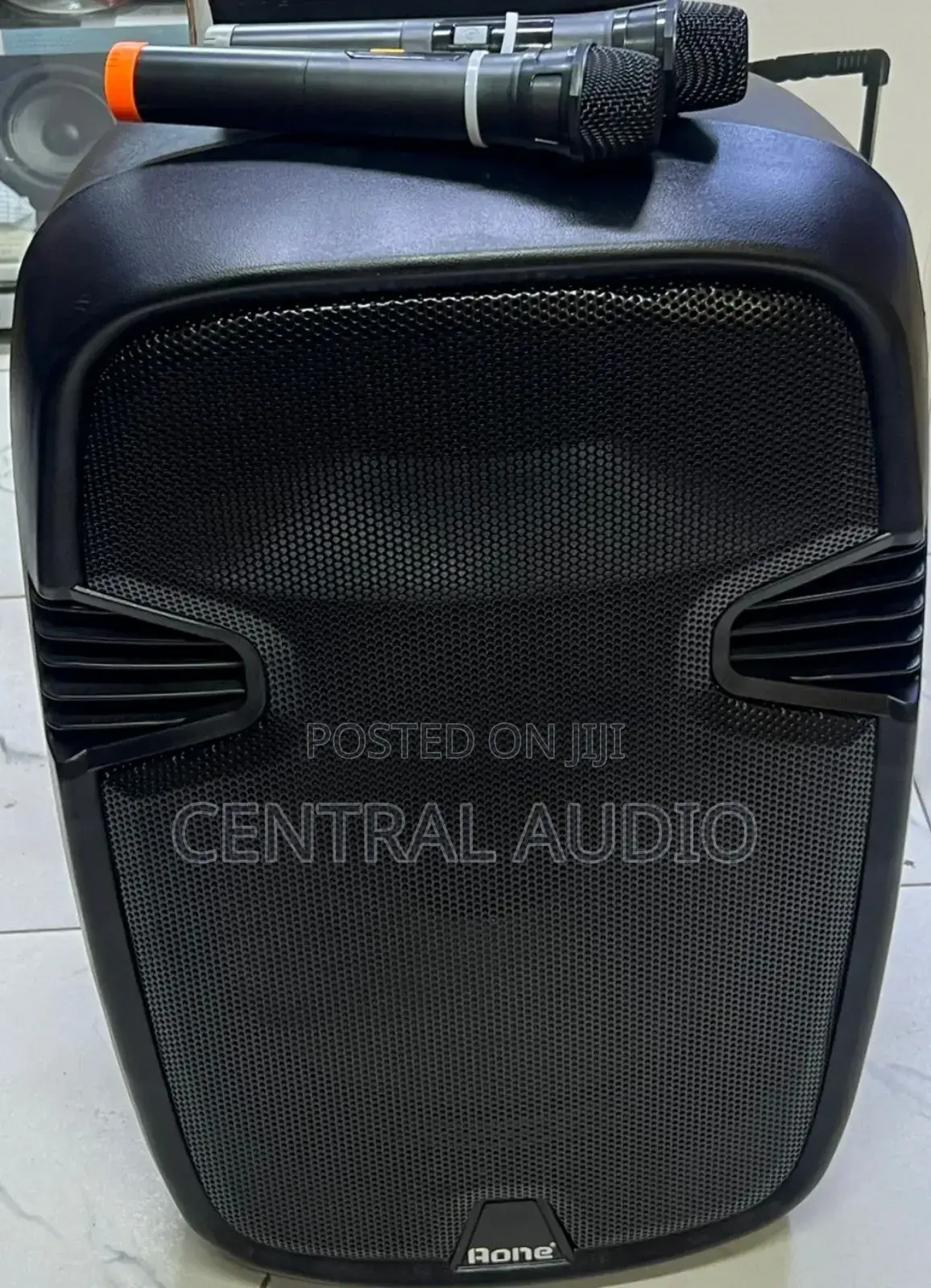 Aone 15inch Portable Speaker