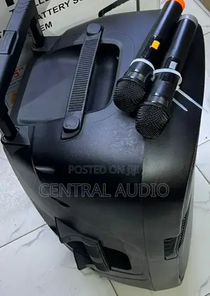 Aone 15inch Portable Speaker