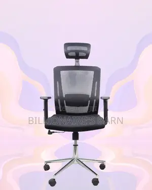 Office Mesh Chair With Lumbar Support | Modern Chrome Finish