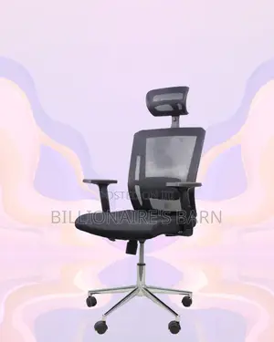 Office Mesh Chair With Lumbar Support | Modern Chrome Finish