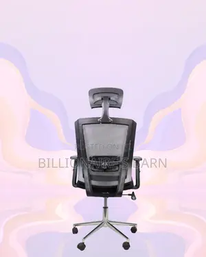 Office Mesh Chair With Lumbar Support | Modern Chrome Finish