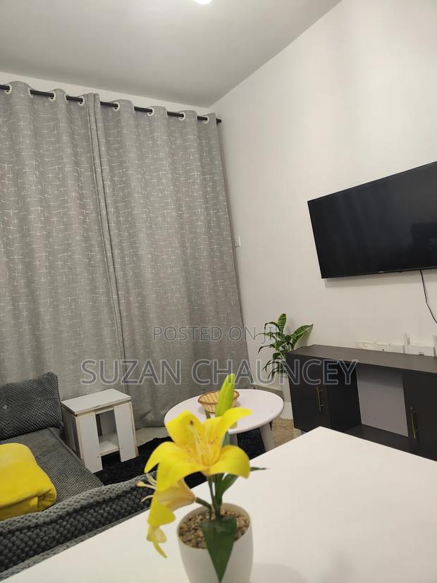 Qash Homes Airbnb at Roysambu - thumbnail 9