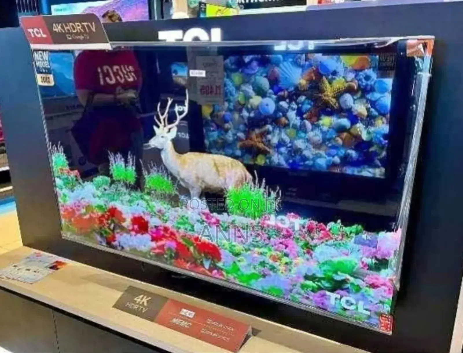 Slim Frame TCL 75 Inch Qled Television