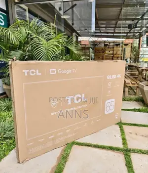Ample Storage TCL 65 Inch Goggle Tv