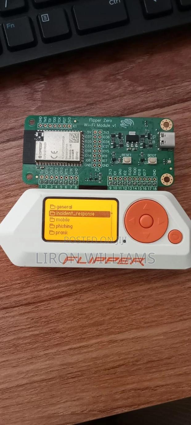 Flipper Zero And Wifi Dev Board (Esp32) – Cybersecurity Iot Tool - main view