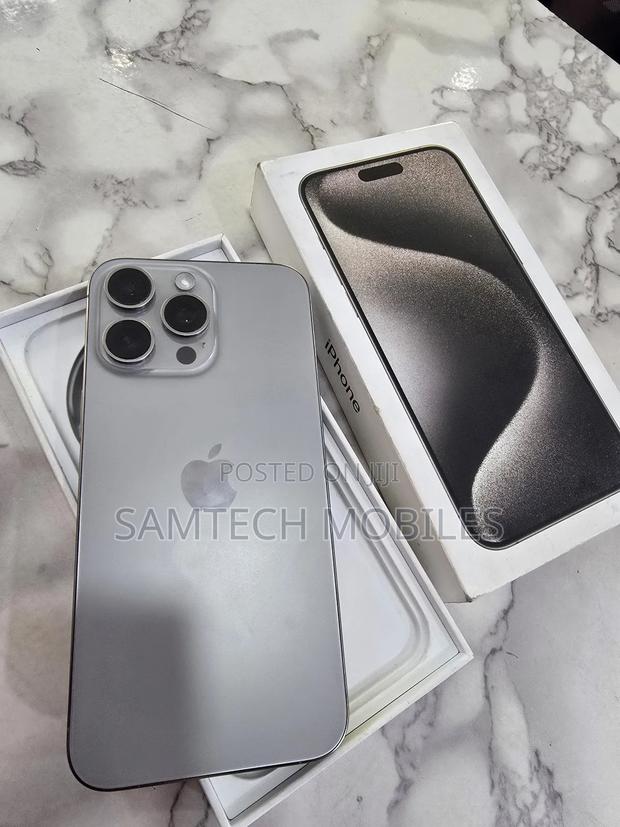 Apple iPhone 15 Pro Max 256 GB Silver - main view