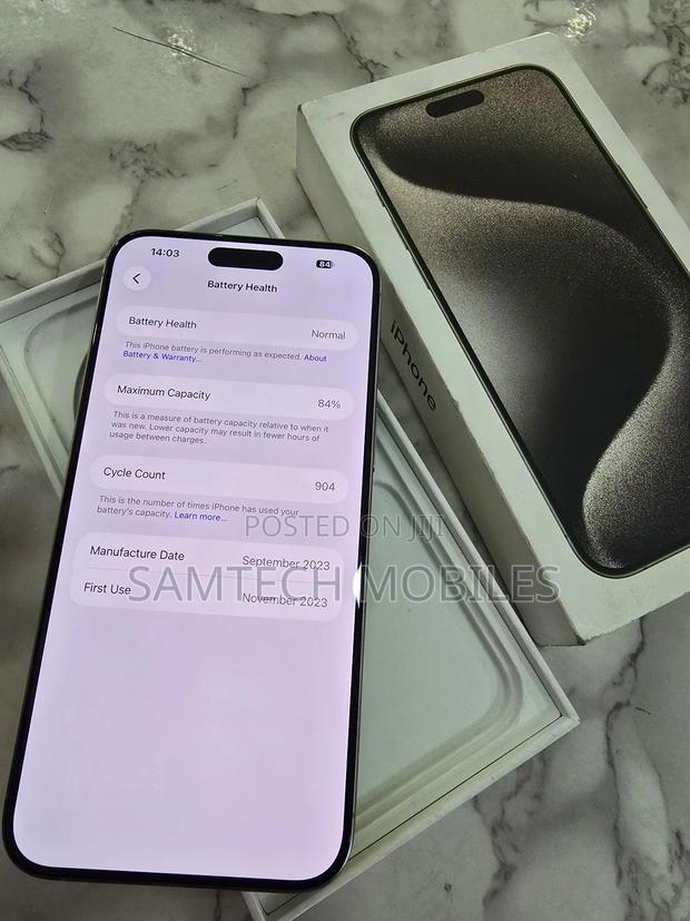 Apple iPhone 15 Pro Max 256 GB Silver - thumbnail 5