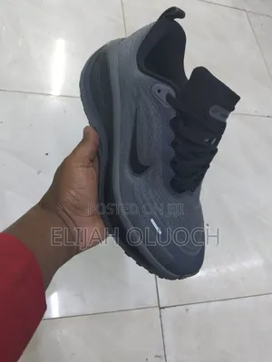 Grey Nike Vamero Plus Men Running