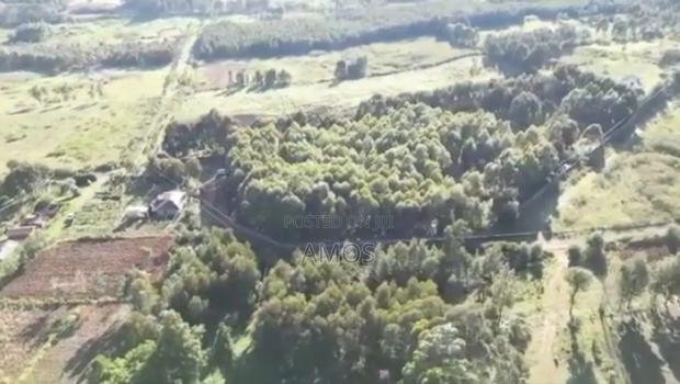 5acres in Limuru Ruamburi Ndeiya - main view