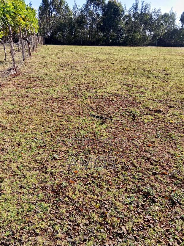 5acres in Michobo Near Rironi. - thumbnail 2