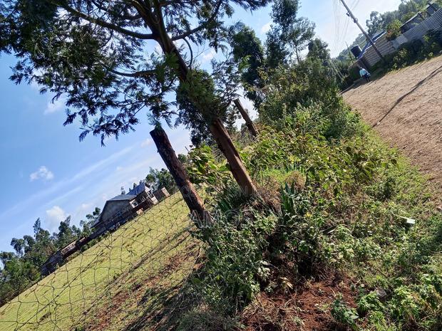 5acres in Michobo Near Rironi. - thumbnail 4