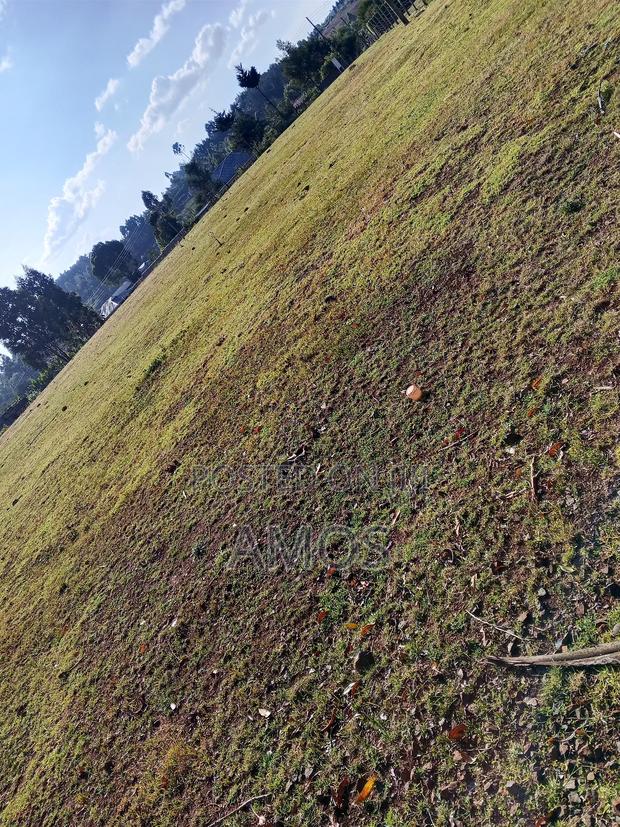 5acres in Michobo Near Rironi. - thumbnail 5