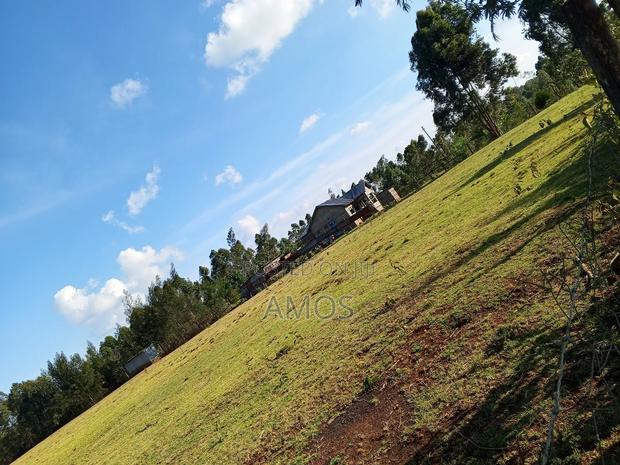 5acres in Michobo Near Rironi. - thumbnail 6