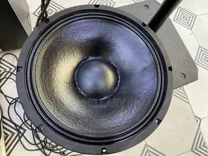Bm Naked Speaker 15 Inch