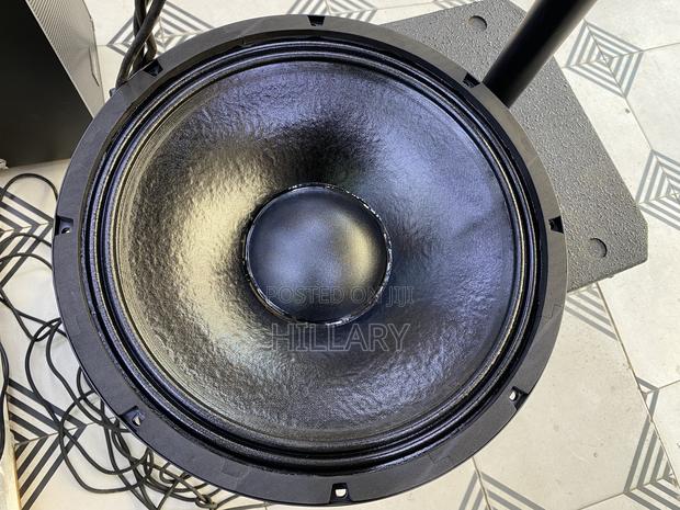 Bm Naked Speaker 15 Inch - thumbnail 2