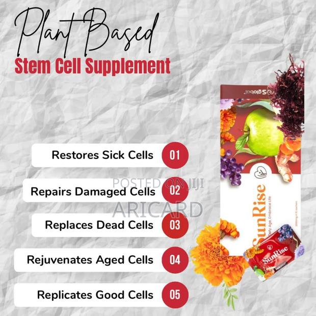 Sunrise Stemcell