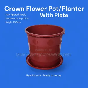 Crown Flower Pot / Planter With Plate