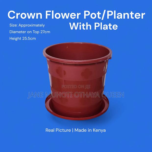 Crown Flower Pot / Planter With Plate - main view