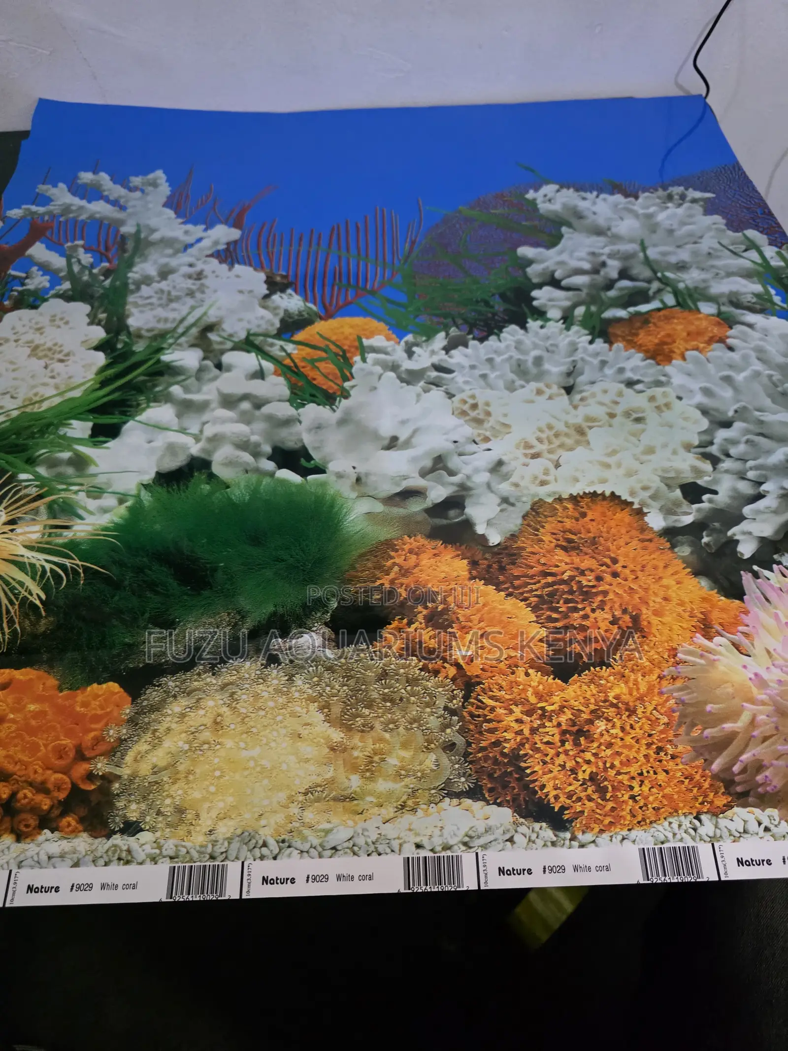 Premium Glossy Finish Fish Aquarium Backdrop